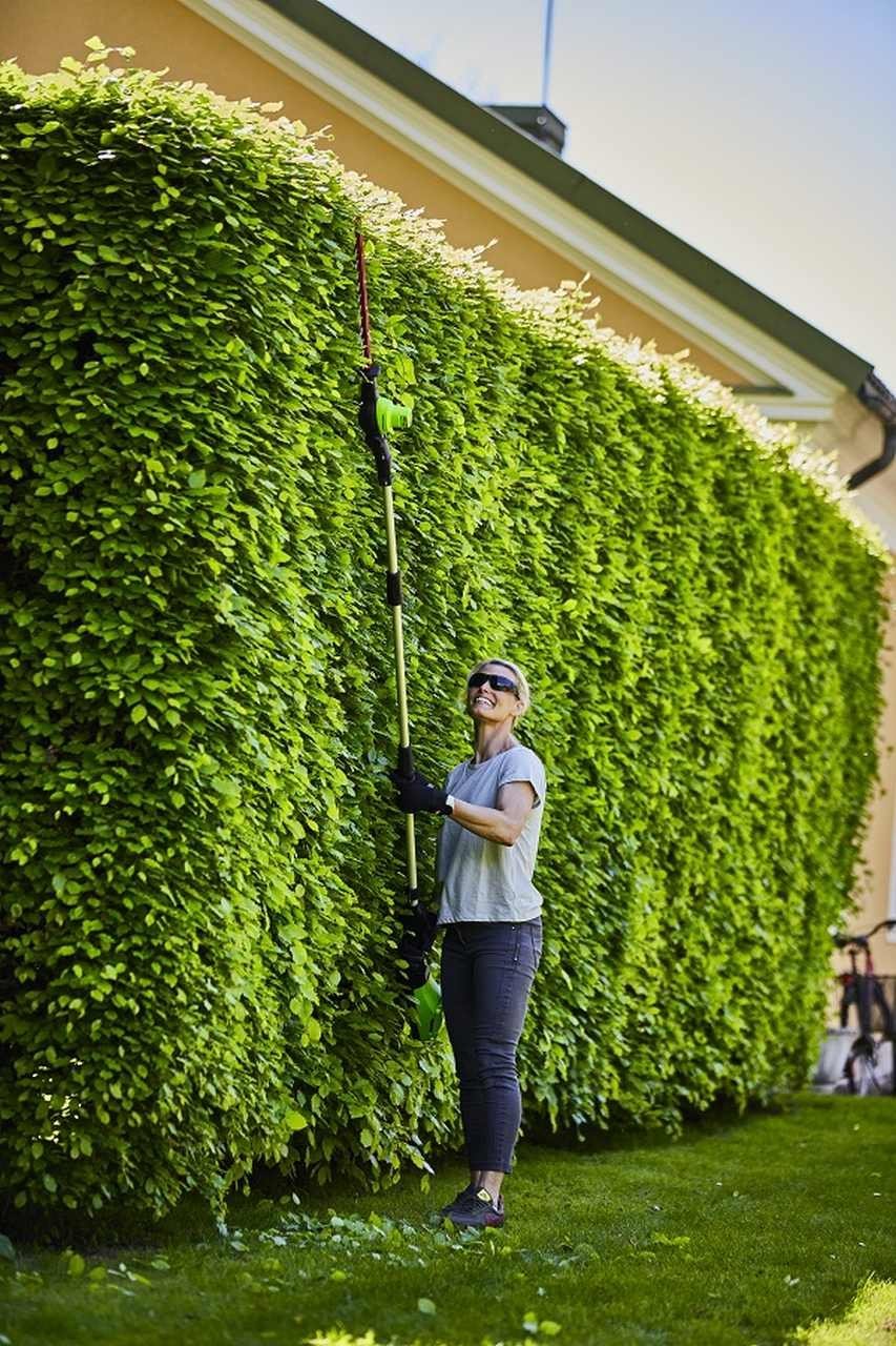 фото Кущоріз акумуляторний Greenworks GD60PHT51