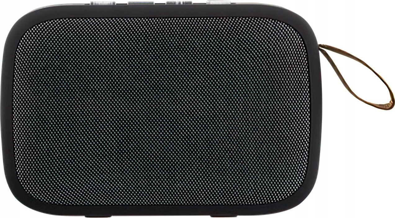 фото Портативна колонка Streetz CM770