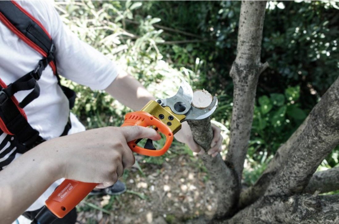 фото Секатор акумуляторний MasterCut ES-4002