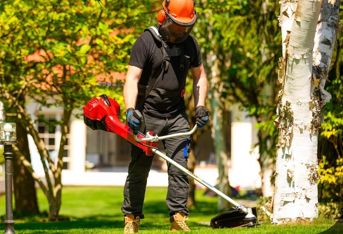 фото Мотокоса бензинова Cedrus WK430X