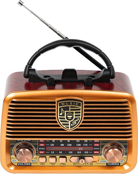 фото Радіоприймач Blow RA10 (77-540#)