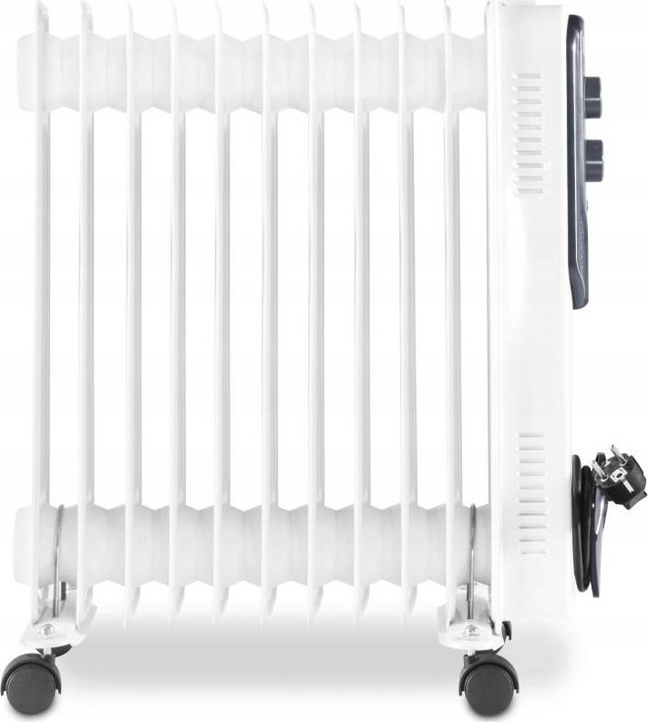 фото Обігрівач Candy TRH 21 E