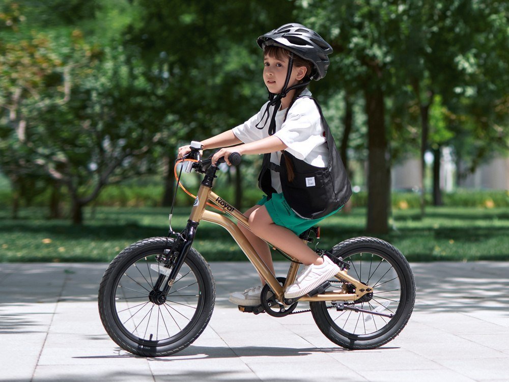 фото Дитячий двоколісний велосипед Royalbaby Kable-Belt 18 Gold (RB18-45)