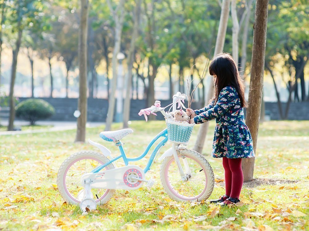 фото Дитячий двоколісний велосипед Royalbaby Star Girl 18 Blue (RB18G-1)