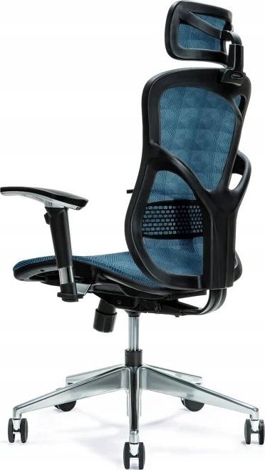 фото Офісне крісло Bemondi Ergo 500 Blue