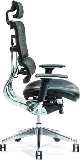 фото Офісне крісло Bemondi Ergo 800 Black