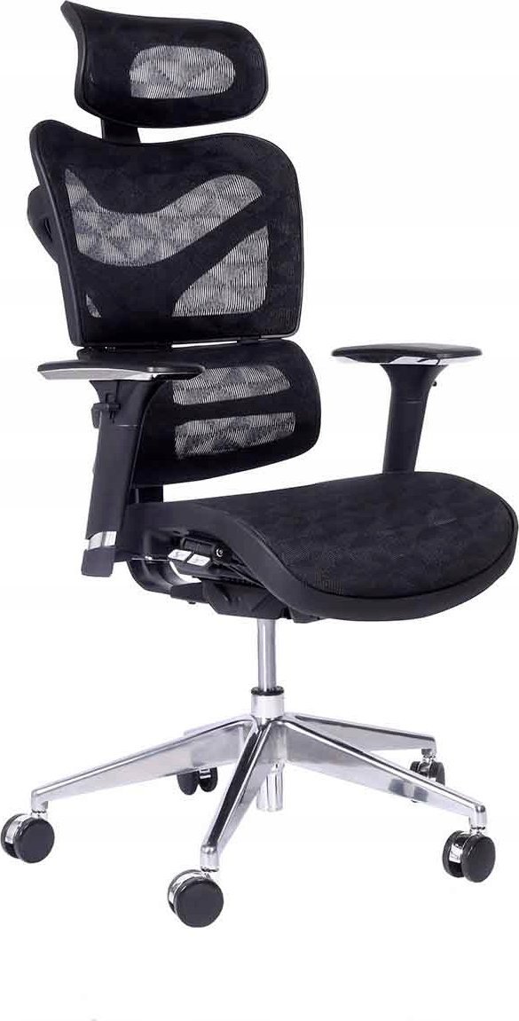 фото Офісне крісло Bemondi Ergo 600 Black
