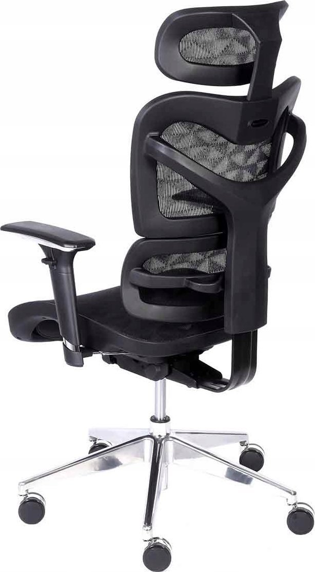 фото Офісне крісло Bemondi Ergo 600 Black