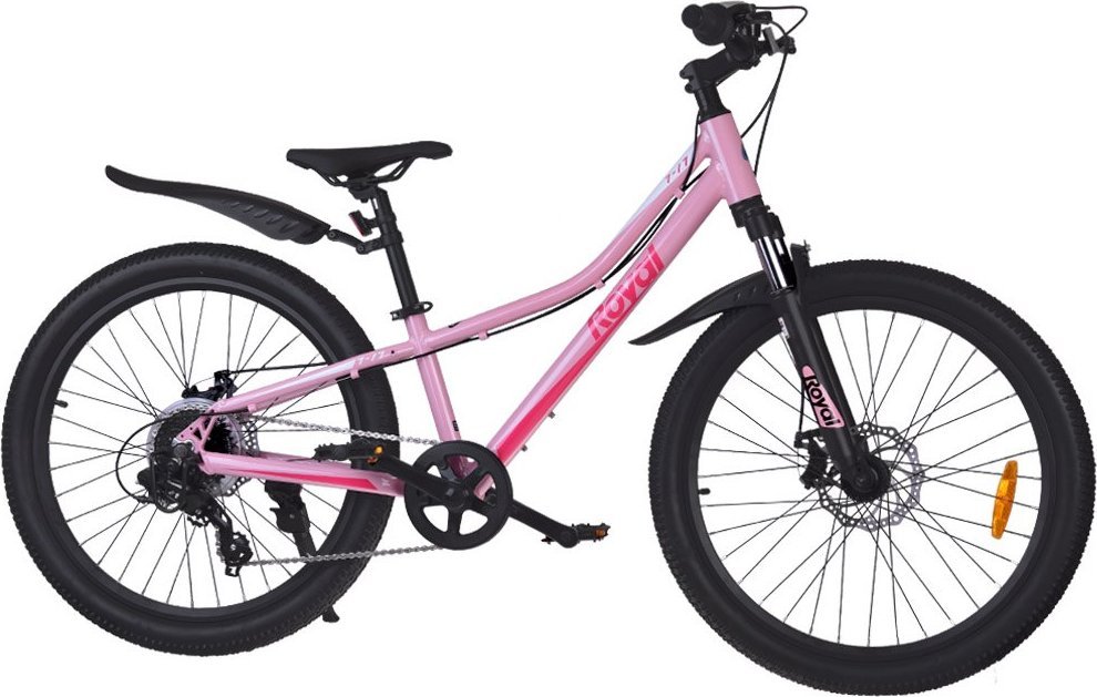 фото Дитячий двоколісний велосипед Royalbaby Student 24 Pink (RB24-37)