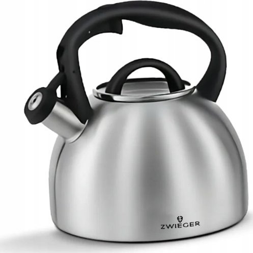 фото Чайник FORTE