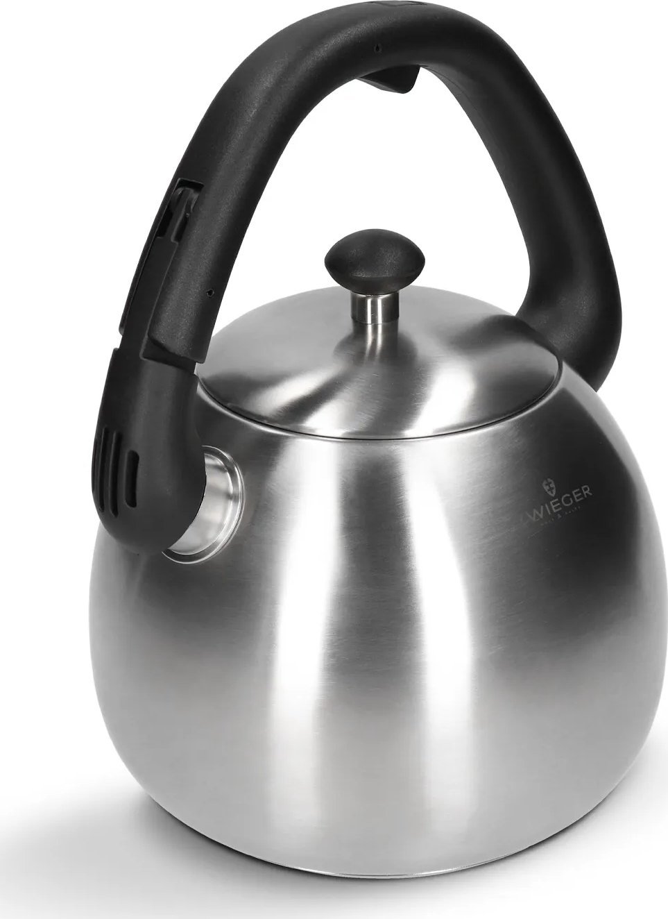 фото Чайник Zwieger Visionary Steel