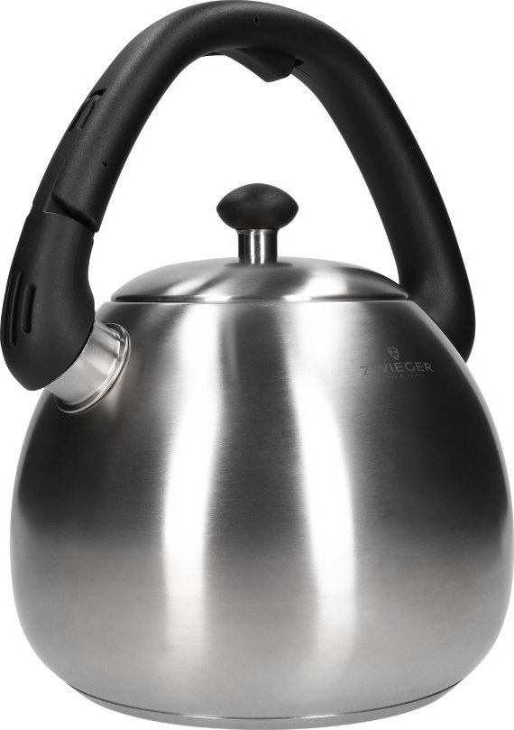 фото Чайник Zwieger Visionary Steel