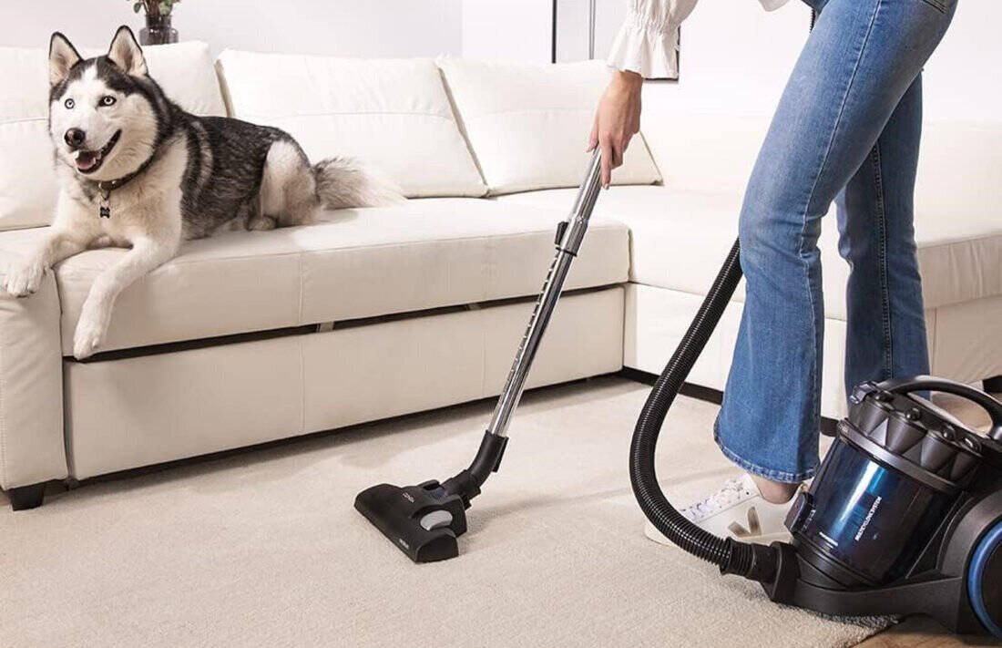 фото Пилосос безмішковий Cecotec Conga Rockstar Multicyclonic Compact XL Animal