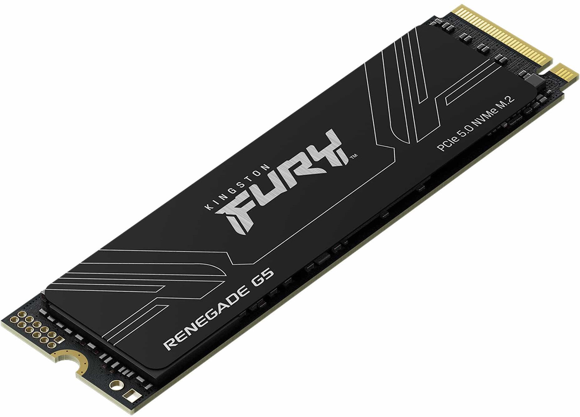 фото SSD накопичувач Kingston Fury Renegade G5 4 TB (SFYR2S/4T0)