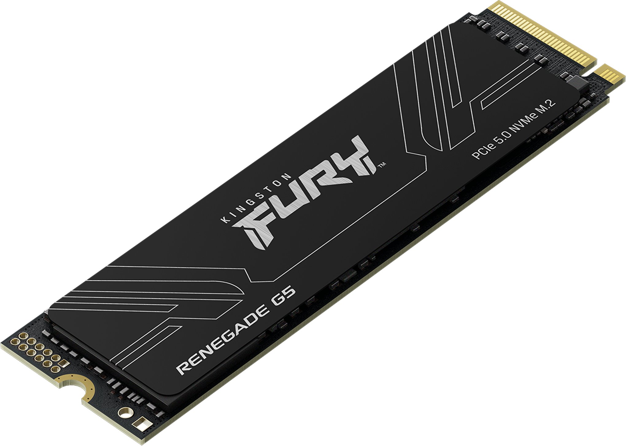 фото SSD накопичувач Kingston Fury Renegade G5 2 TB (SFYR2S/2T0)