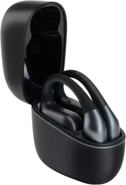 фото Наушники TWS Panasonic RB-F10DE-K