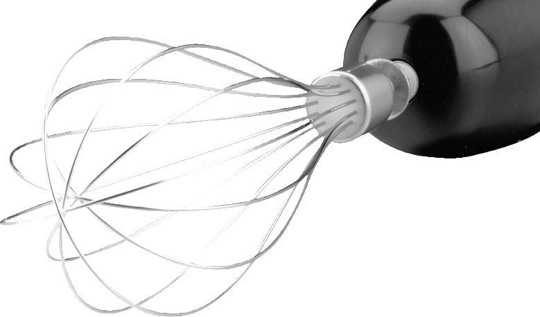 фото Занурюваний блендер Gastroback 40976