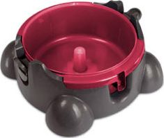 фото Професійний пилосос Arnica Hydra Rain Plus