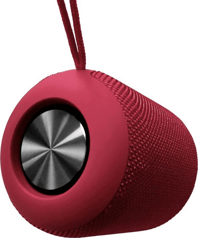 фото Портативна колонка Platinet PMG13R