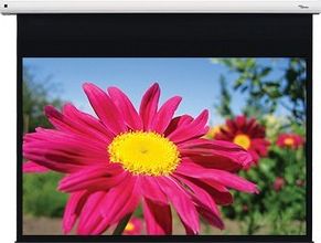фото Проекционный экран Optoma Motorised 203x127 (DE-1095EGA)