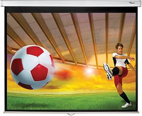 фото Проекційний екран Optoma Manual 171x128 (DS-3084PWC)