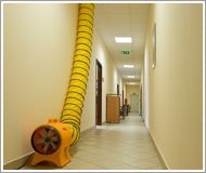 фото Вентилятор підлоговий Master BL 8800