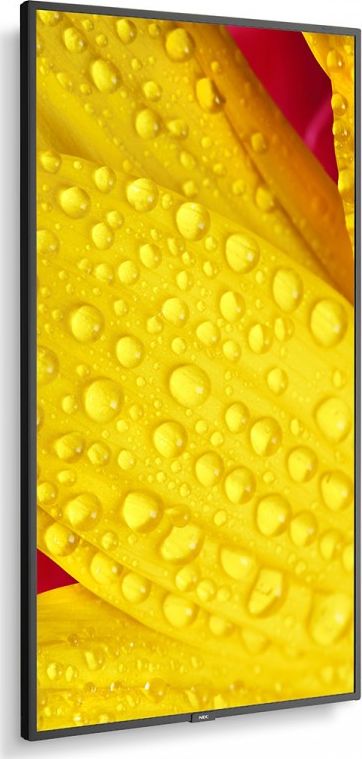 фото Інформаційний дисплей Nec MultiSync ME431 (60005048)