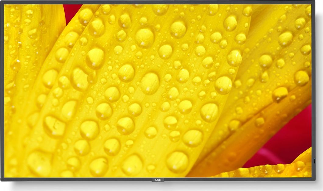 фото Інформаційний дисплей Nec MultiSync ME431 (60005048)