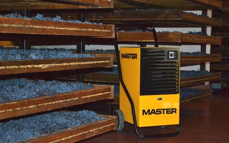 фото Осушувач повітря Master DHP 65