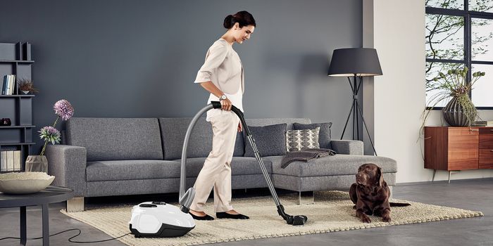 фото Пилосос з мішком AEG VX7-2-IW-S