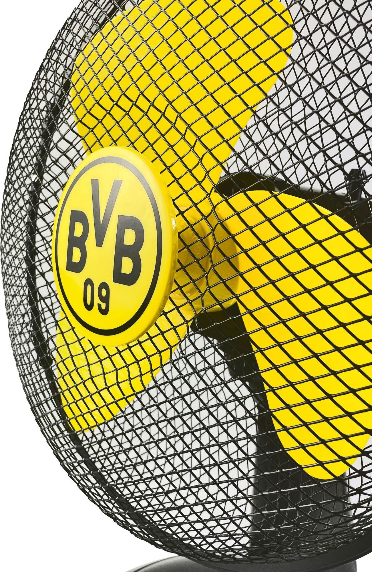 фото Вентилятор настільний ECG BVB 09