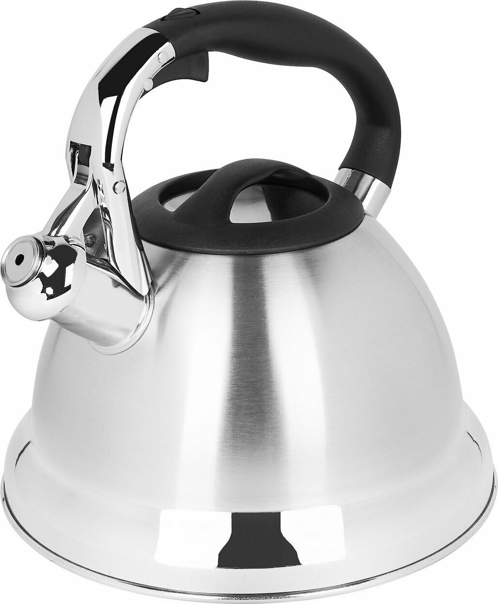 фото Чайник Starke Pro Asteria II Steel