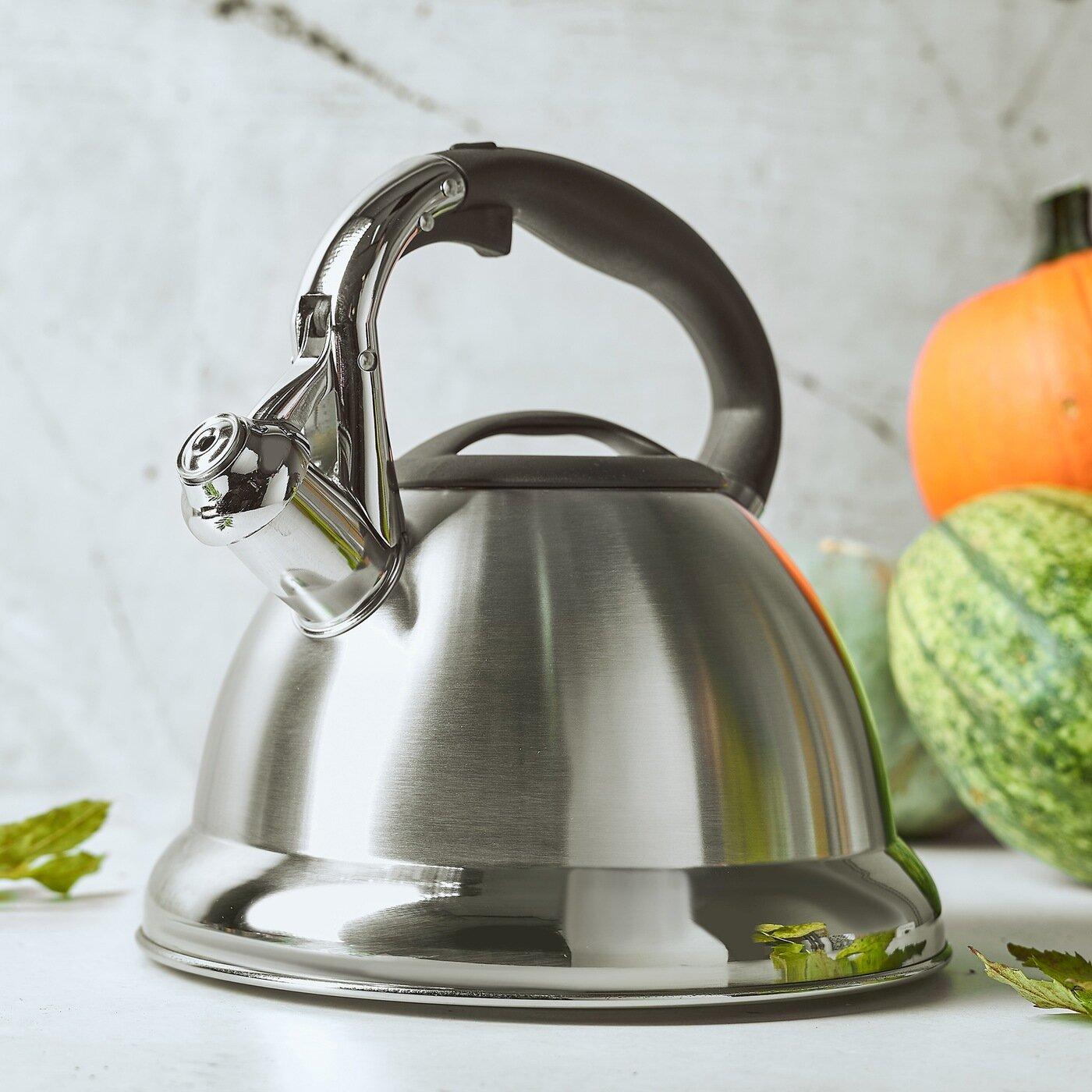 фото Чайник Starke Pro Asteria II Steel