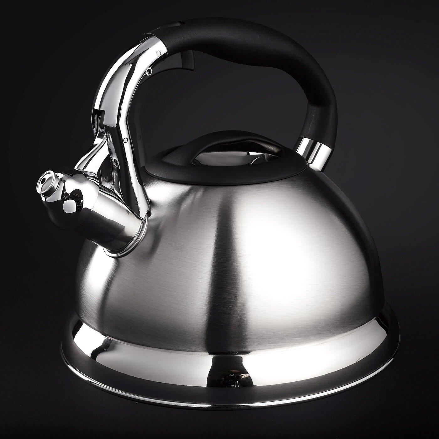 фото Чайник Starke Pro Asteria II Steel