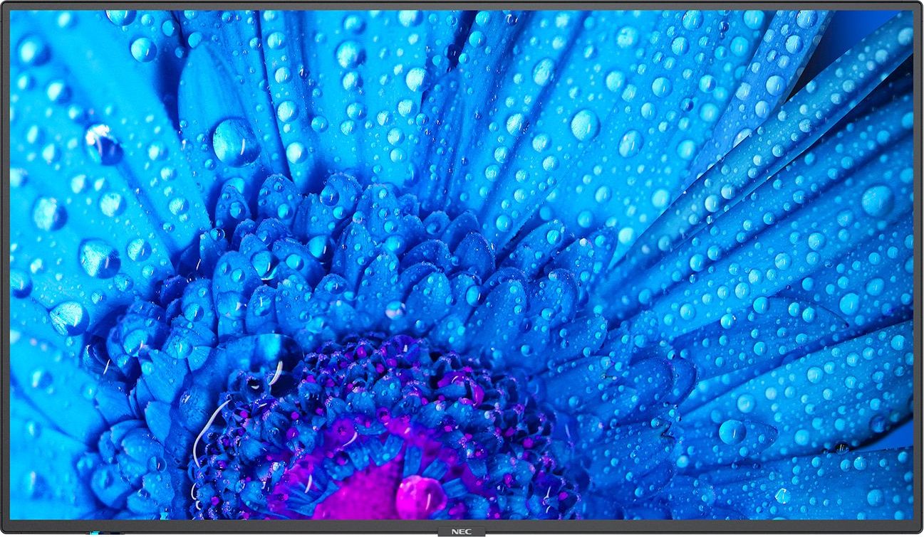 фото Інформаційний дисплей Nec MultiSync M651 (60005061)