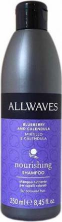 Allwaves ALLWAVES Szampon odżywczy po koloryzacji jagoda i nagietek 250 ml 1