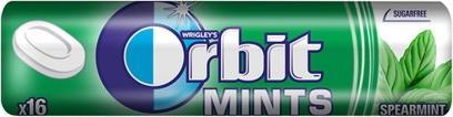 Wrigley Cukierki Spearmint Mints 16 drażetek 1