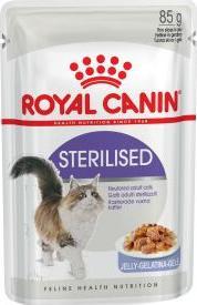 Royal Canin Royal Canin FHN Sterilised w galaretce - mokra karma dla kota dorosłego - 12x85g 1