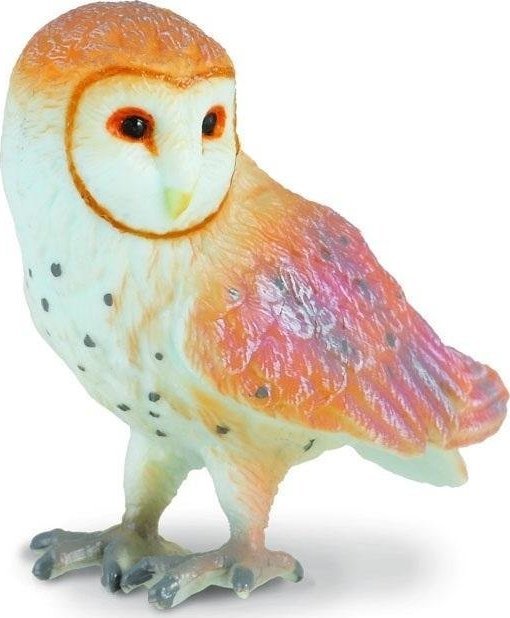 Figurka Collecta Sowa płomykówka 1