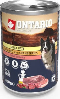 ONTARIO ONTARIO- Duck Pate with Cranberries 400g 1