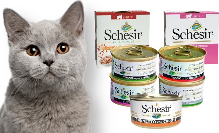 Schesir Schesir mix smaków 7x85g 1