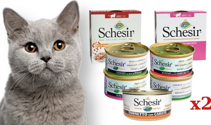 Schesir Schesir mix smaków 14x85g 1