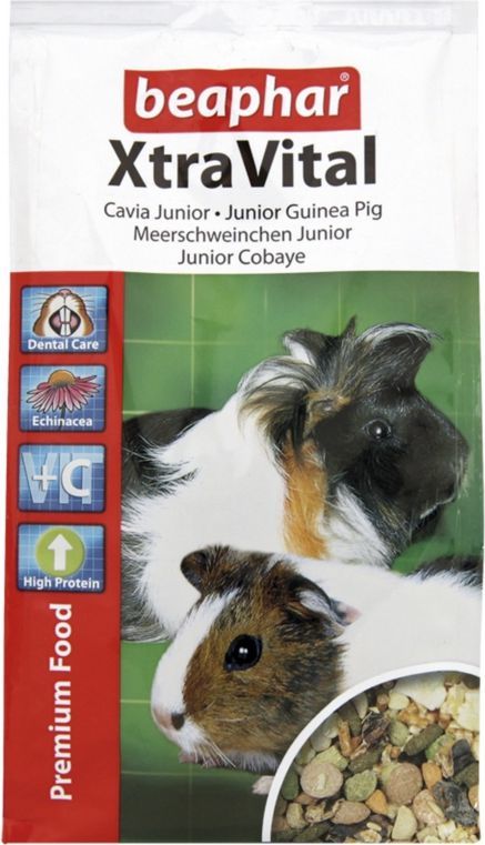 Junior na czarny kogut