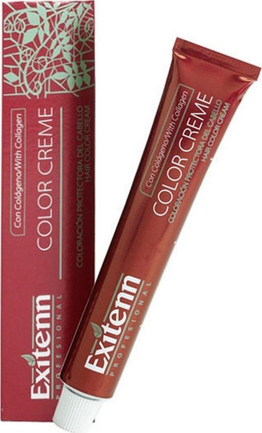 Exitenn Trwała Koloryzacja Color Creme Exitenn N 462 Eggplant (60 ml ...