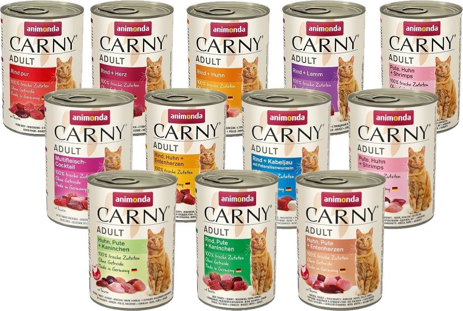 Animonda ANIMONDA Cat Carny Adult Mix 12 smaków 24x400g 1