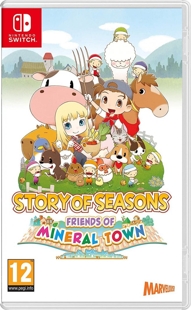 Story of Seasons : Friends Of Mineral Town Nintendo Switch 1