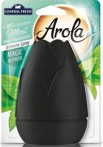 General Fresh AROLA Magiczna szyszka odświeżacz MAROKAŃSKA MIĘTA 1