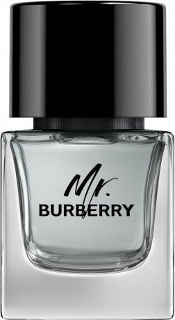 Burberry BURBERRY Mr. Burberry EDT spray 50ml 1