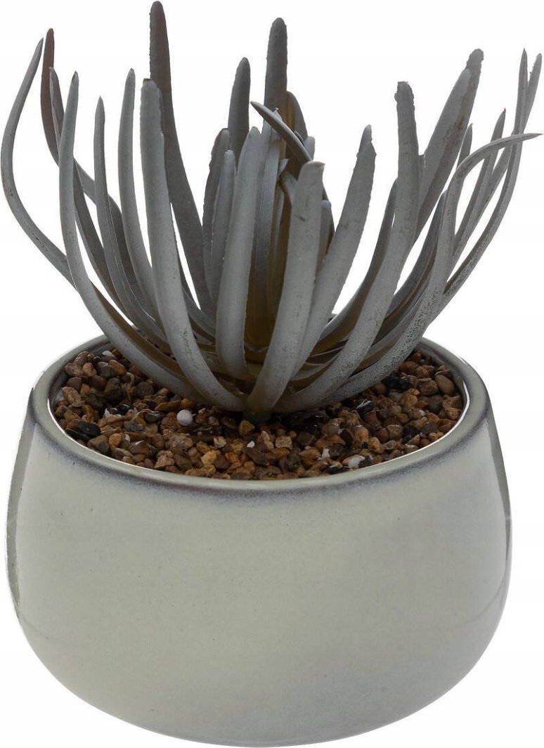 Atmosphera Sztuczny sukulent w doniczce CAF, wys. 18 cm 1