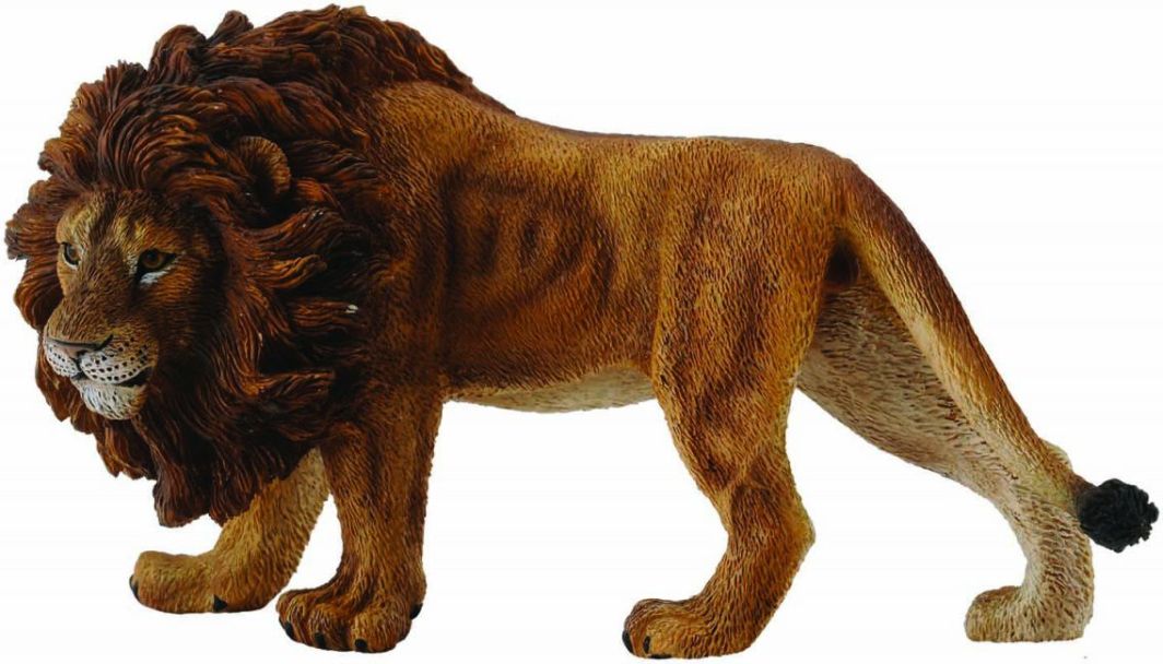 Figurka Collecta Lew afrykański (004-88414) 1